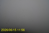 Img20260615_115649.jpg