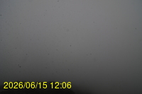 Img20260615_120649.jpg