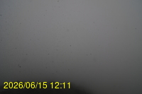 Img20260615_121149.jpg