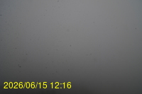 Img20260615_121649.jpg