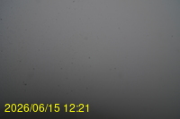 Img20260615_122149.jpg