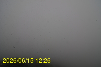 Img20260615_122649.jpg