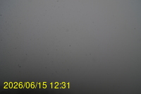 Img20260615_123149.jpg