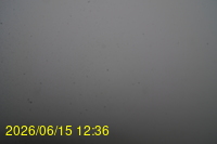 Img20260615_123649.jpg