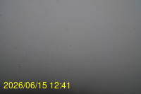 Img20260615_124149.jpg
