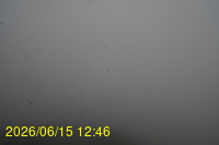 Img20260615_124649.jpg