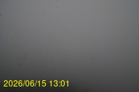 Img20260615_130149.jpg