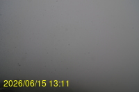 Img20260615_131149.jpg