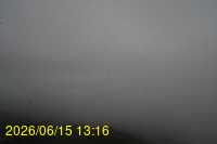 Img20260615_131649.jpg