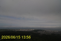 Img20260615_135649.jpg