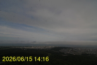Img20260615_141649.jpg