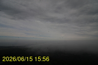 Img20260615_155649.jpg