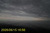 Img20260615_165649.jpg