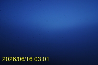 Img20260616_030152.jpg