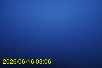Img20260616_030652.jpg