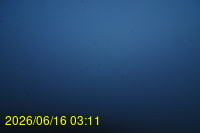 Img20260616_031152.jpg