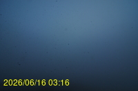 Img20260616_031652.jpg