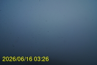 Img20260616_032652.jpg
