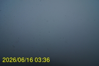 Img20260616_033652.jpg
