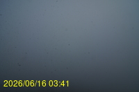 Img20260616_034152.jpg