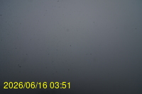 Img20260616_035152.jpg
