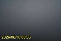 Img20260616_035652.jpg