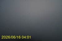 Img20260616_040152.jpg