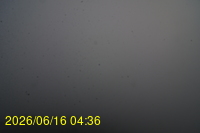 Img20260616_043652.jpg