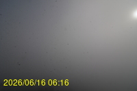 Img20260616_061652.jpg