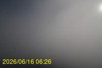 Img20260616_062652.jpg