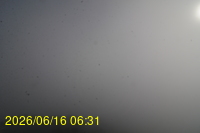 Img20260616_063152.jpg