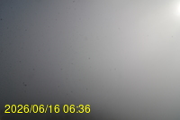 Img20260616_063652.jpg
