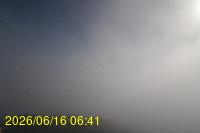 Img20260616_064152.jpg