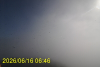 Img20260616_064652.jpg