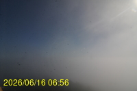 Img20260616_065652.jpg