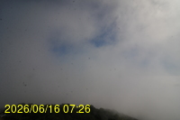 Img20260616_072653.jpg
