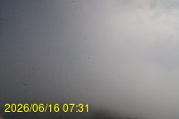 Img20260616_073152.jpg