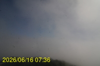 Img20260616_073653.jpg