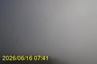 Img20260616_074153.jpg