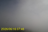 Img20260616_074653.jpg