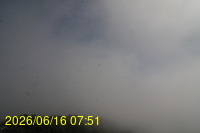 Img20260616_075153.jpg