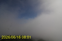 Img20260616_080153.jpg