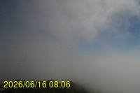 Img20260616_080653.jpg