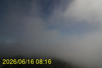 Img20260616_081653.jpg