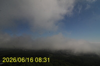 Img20260616_083153.jpg
