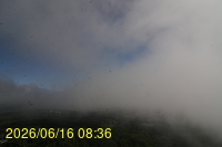 Img20260616_083653.jpg