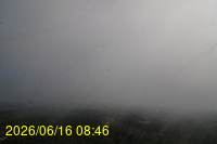 Img20260616_084653.jpg