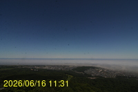 Img20260616_113153.jpg