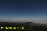 Img20260616_115653.jpg