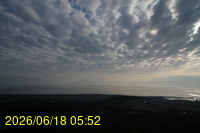 Img20260618_055201.jpg